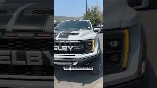 Shelby Truck For Cheap! Shelby Raptor