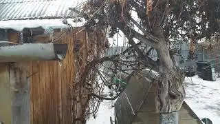01.12.2021 в селе Белоногово Курганской области зимой идет дождь. 😯😮😯