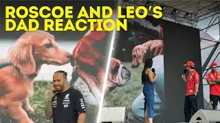 Lewis Hamilton and Charles Leclerc talking about Roscoe and Leo meeting in the paddock