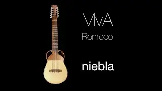 MvA - Niebla (Ronroco - baritone charango)