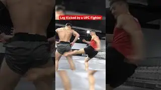 Leg Kicked by UFC Fighter Stephen Wonderboy Thompson! #funny #memes #sports