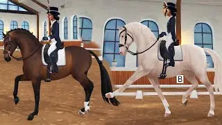 NEW Dressage Dutch Warmblood Horses in Star Stable