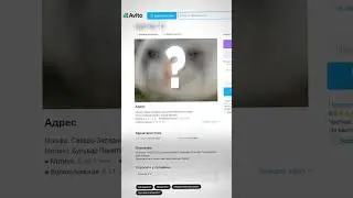 Продал НИЧЕГО на Авито... 