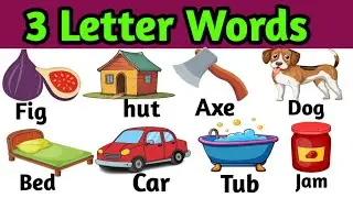 Three Letter Words || Preschool Learning || 3 Letter Words kids Education Video|| The kituu world