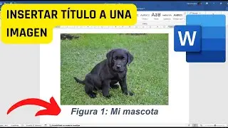 Word: Cómo Insertar y Personalizar Títulos en Imágenes