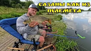 Наловили сазана в Михайловской слободе