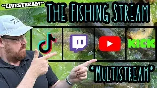 Gold Valley Lakes | Multi stream Fishing | F1’s and Carp