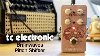 TC Electronic Brainwaves Pitch Shifter