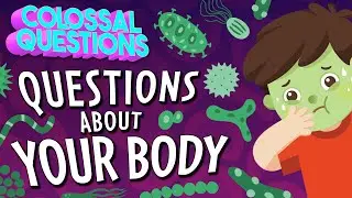 Bathrooms, Boogers, and MORE! 7 Questions About Your Body Answered | COLOSSAL QUESTIONS