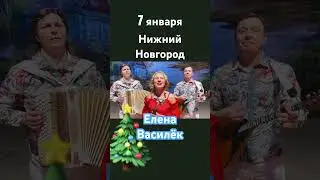 Василёк в Нижнем 2024