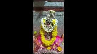 Navratri 2023 Day - 3, Meenakshi Amman alankara