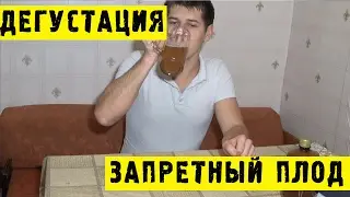 🍺Домашнее пивоварение - Запретный плод - Дегустация #Hiking UA