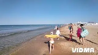 дельфины в Витязево