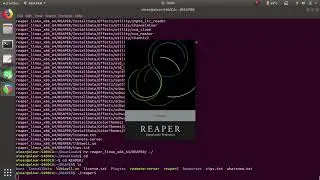 REAPER Linux Win64 VST plug-in on Ubuntu