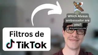 Así se hacen los filtros de tiktok! - Tutorial