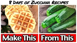 Easy Zucchini Bread Recipe - No Bake! 8 Days of Zucchini Recipes #1