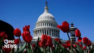 WATCH LIVE: Technology experts testify on artificial intelligence in Senate Judiciary hearing