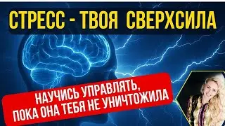 Стресс: инструкция по применению. Сделай его своим ресурсом - или он уничтожит тебе.