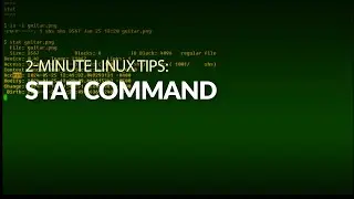 How to use the stat command