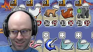 The legendary chicken run (Super Auto Pets)