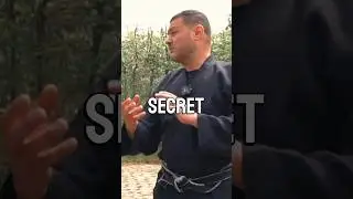 The Truth About Ninjutsu 🥷