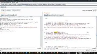 SQLi BurpSuite When Not Working SQL Command