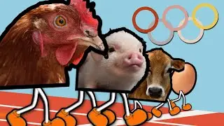 meat industry olympics