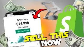 Top 5 Winning Dropshipping Products in February 2023