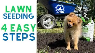 4 Easy Steps to Seeding Fescue Lawns 🌿