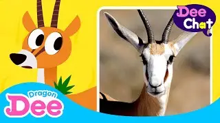 Can gazelles run away from a cheetah? 🐆 | Gazelle | Animal Songs 🐾 | Dragon Dee Songs for Children