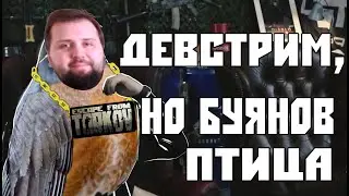 ДЕВСТРИМ, НО БУЯНОВ ПТИЦА В ESCAPE FROM TARKOV 