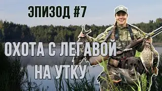 ОХОТА С ЛЕГАВОЙ НА УТКУ. Эпизод #7