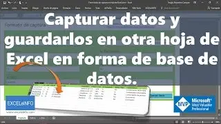Capture data and save it to another Excel sheet as a database @EXCELeINFO