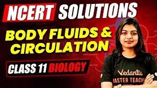 Body Fluids and Circulation | Class 11 Biology | NCERT Solutions