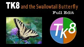 TK8 And The Swallowtail Butterfly (Download Todays Image and PDF Notes)