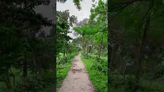 গ্রামের সৌন্দর্য দেখে মুগ্ধ হয়ে গেলাম 