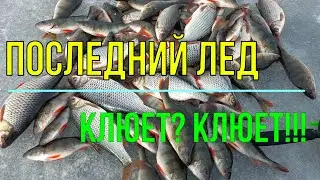 ПОСЛЕДНИЙ ЛЕД!!! КЛЮЕТ? КЛЮЕТ!!!