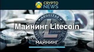 Майнинг Litecoin [LTC]. Как майнить Лайткоин?