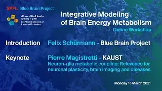 KAUST & EPFL Blue Brain Project workshop ‘Integrative Modeling of Brain Energy Metabolism’ Session 1