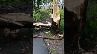 Ураган в Москве. Последствия. 20.06.2024. Hurricane in Moscow. Consequences. 06/20/2024.