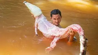 Wow! Hunting Big Crocodile and Roasted Crocodile Eating So Delicious In Forest