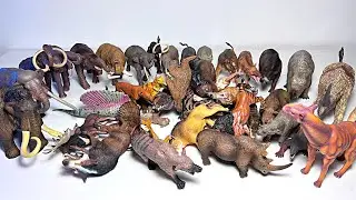 My Prehistoric Animals Collection - Woolly Mammoth, Smilodon, Daeodon, Moropus, Deinotherium