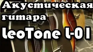 Акустическая гитара LeoTone L01