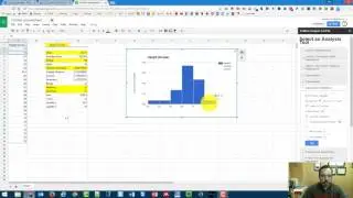 Statistics - Google Sheets Histograms and Descriptive Statistics