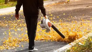 Top 5 Best Leaf Blowers 2023