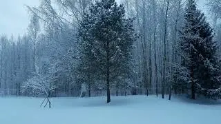 ВОЛШЕБНОЕ ЗИМНЕЕ УТРО В ДЕРЕВНЕ. СКАЗОЧНАЯ ПРИРОДА. ХОРОШЕЕ НАСТРОЕНИЕ!!! ОБРАЩЕНИЕ К ПОДПИСЧИКАМ.