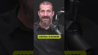 Wake Up With MORE ENERGY (Full video 👆)