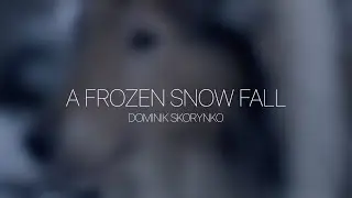 A FROZEN SNOW FALL - Cinematic Short
