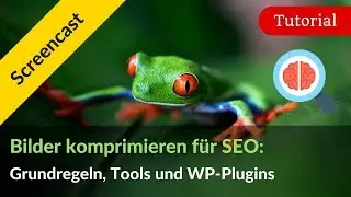 Bilder komprimieren für SEO: Grundregeln, Tools und WordPress-Plugins