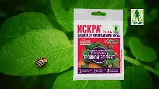 Искра Тройной эффект — защита от колорадского жука